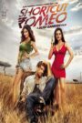 Shortcut Romeo (2013) Hindi HD