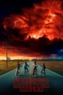 Stranger Things (2016) Hindi Season 1 Complete Netflix